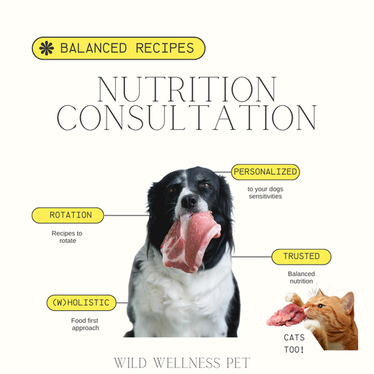 Pet Nutrition Consultation