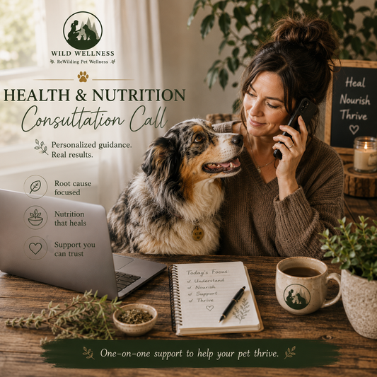 Pet Health & Nutrition Consultation - Single Call