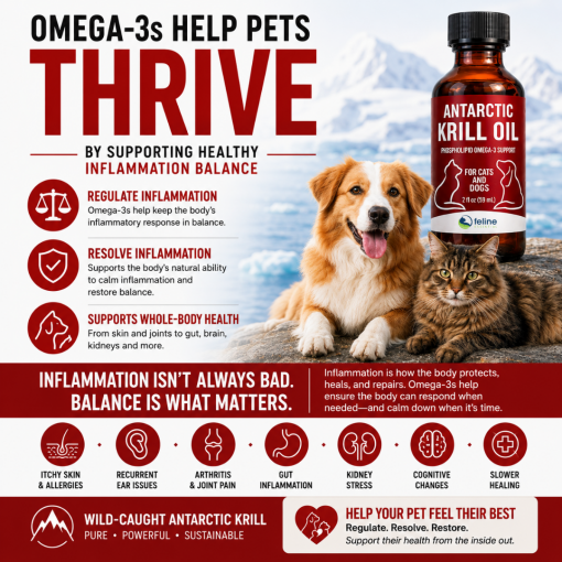 Antarctic Krill Oil for Cats & Dogs - Omega 3 Support