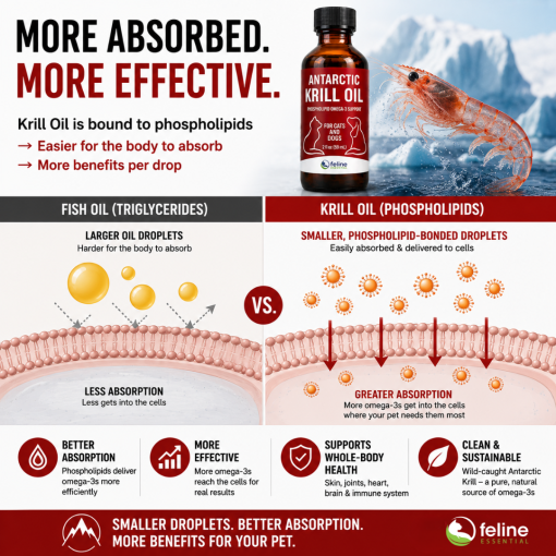 Antarctic Krill Oil for Cats & Dogs - Omega 3 Support