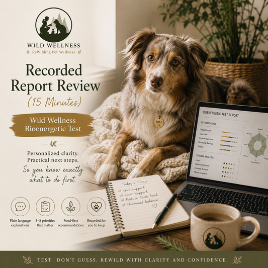 Recorded Report Review (15 Minutes) — Wild Wellness Bioenergetic Test
