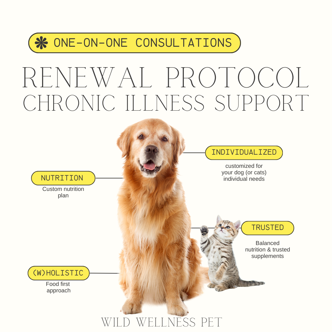Renewal Protocol — Chronic Illness Support