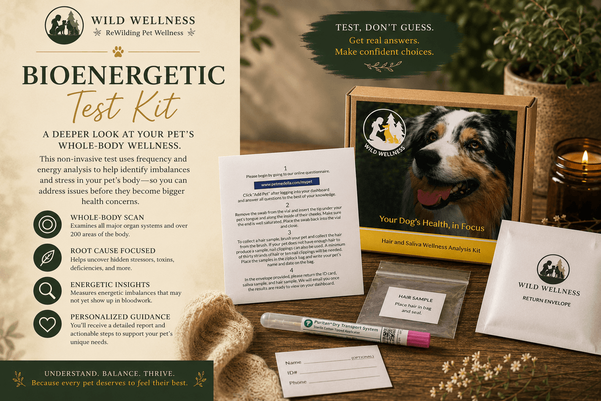 Bioenergetic Sensitivity Testing for Dogs — Full Scan