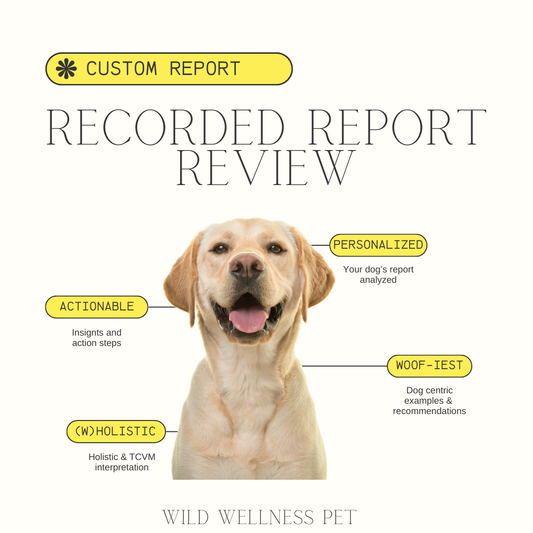 Recorded Report Review (15 Minutes) — Wild Wellness Bioenergetic Test