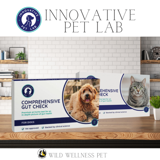 Comprehensive Gut Health Test for Dogs & Cats - Innovative Pet Lab