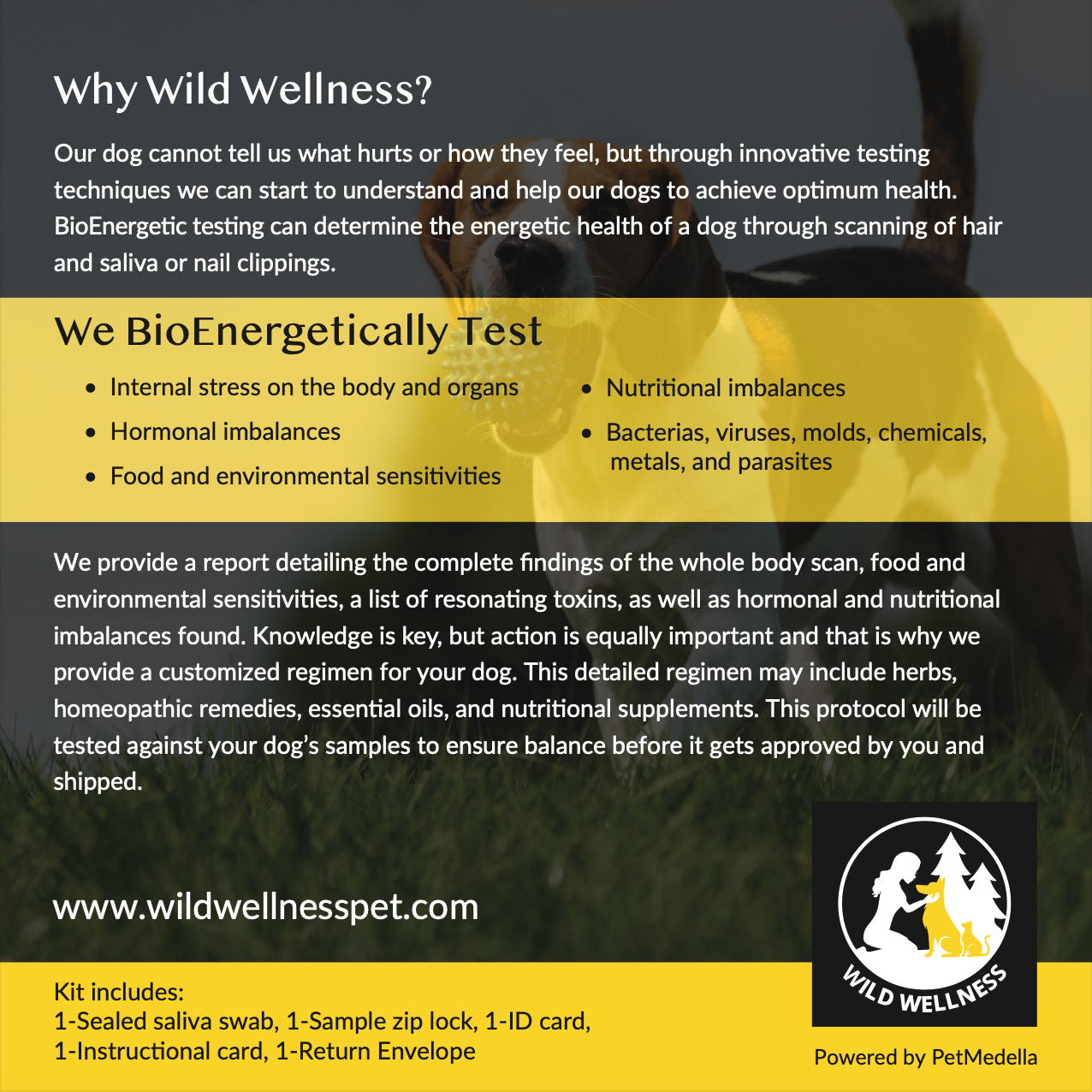 Bioenergetic Sensitivity Testing for Dogs, Full Scan - Wild Wellness powered by Pet Medella