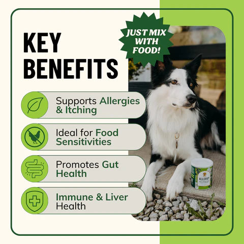 Fido’s Allergy Herbal Supplement for Dogs — Immune & Skin Support