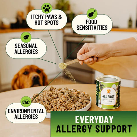 Fido’s Allergy Herbal Supplement for Dogs — Immune & Skin Support