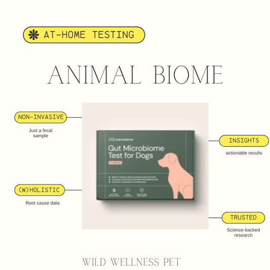 Gut Microbiome At Home Test Kit from Animal Biome