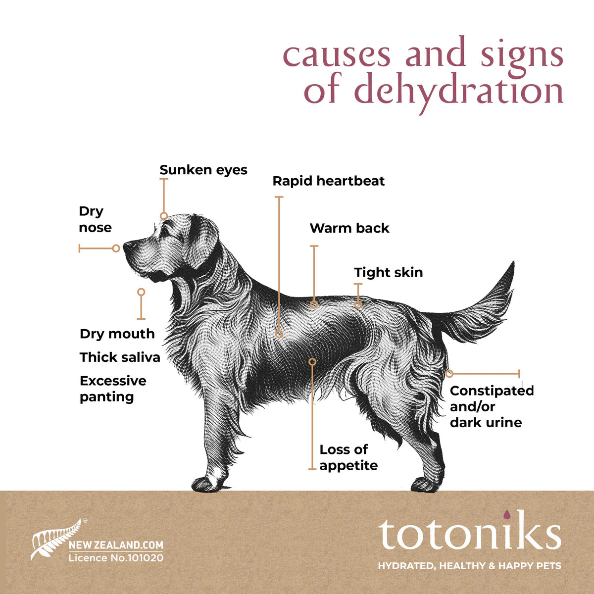 Totoniks Hip, Joint + Hydration — Big Dogs (Starter or Refill)