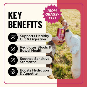 Fido’s Dehydrated Bone Broth for Dogs — Functional Wellness Blends