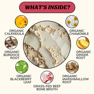 Fido’s Dehydrated Bone Broth for Dogs — Functional Wellness Blends