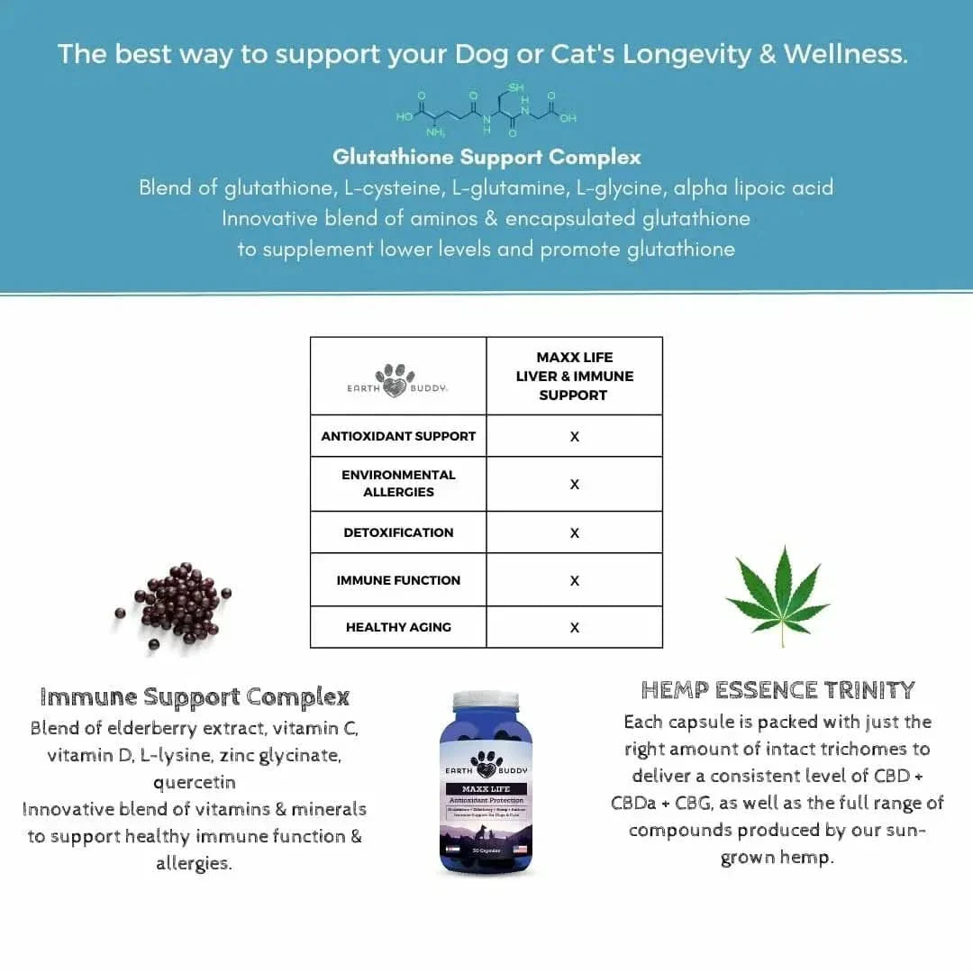 Maxx Life Glutathione for Dogs & Cats — Antioxidant + Immune Support