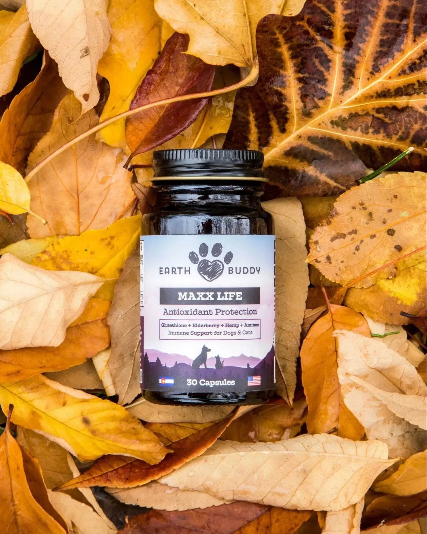 Maxx Life Glutathione for Dogs & Cats — Antioxidant + Immune Support
