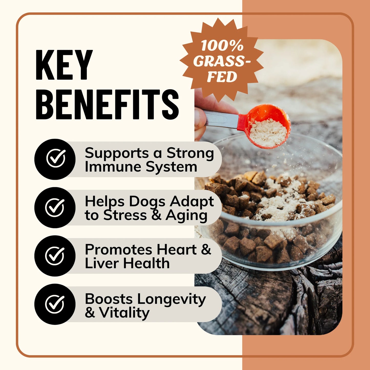 Fido’s Dehydrated Bone Broth for Dogs — Functional Wellness Blends