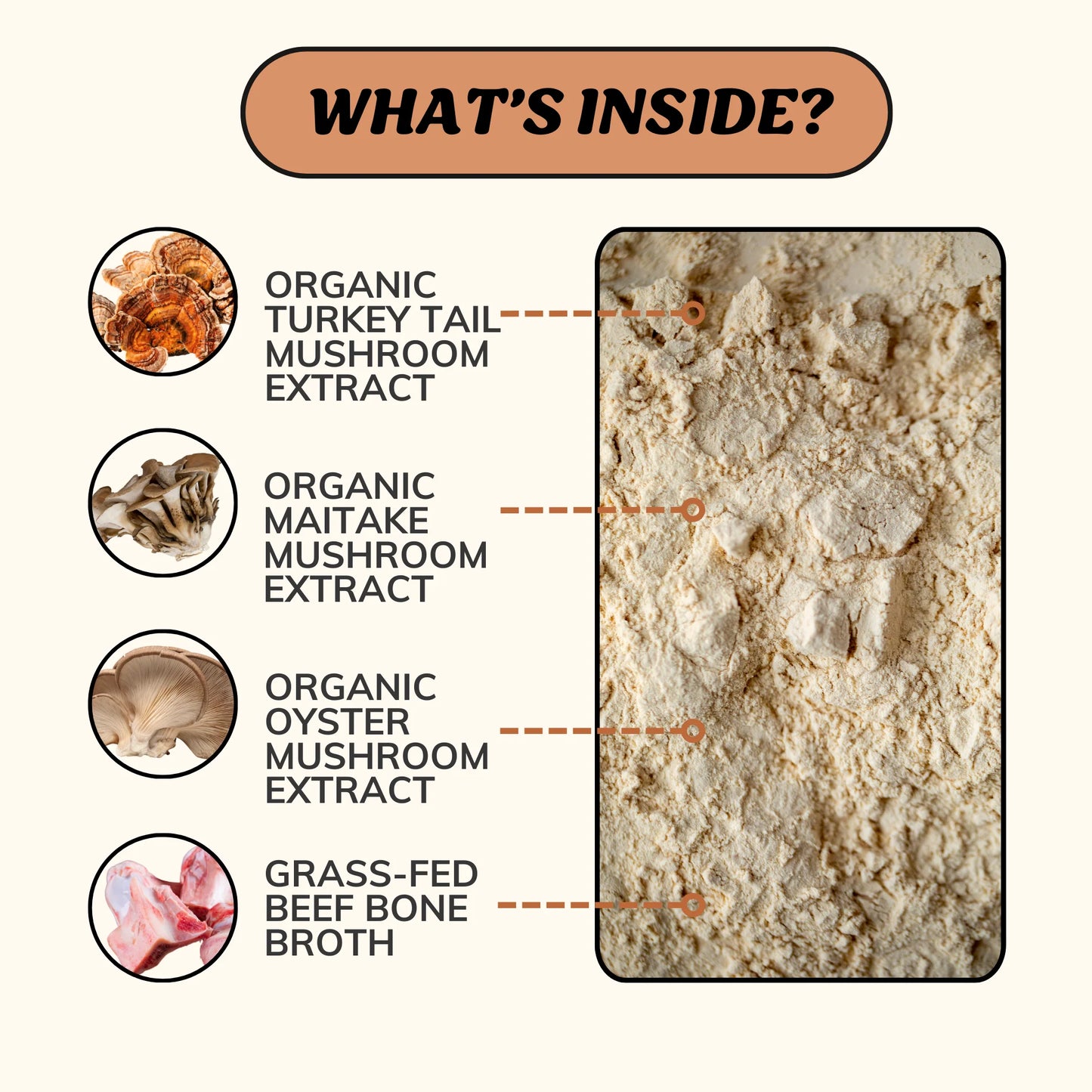 Fido’s Dehydrated Bone Broth for Dogs — Functional Wellness Blends