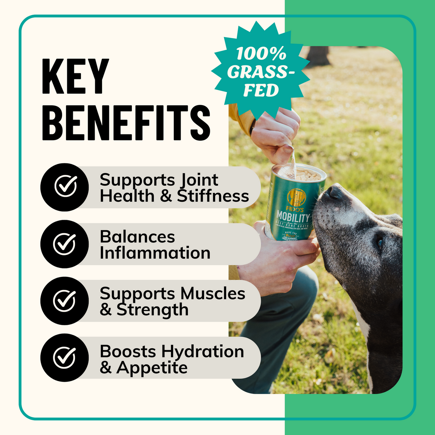 Fido’s Dehydrated Bone Broth for Dogs — Functional Wellness Blends