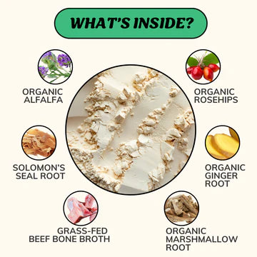 Fido’s Dehydrated Bone Broth for Dogs — Functional Wellness Blends