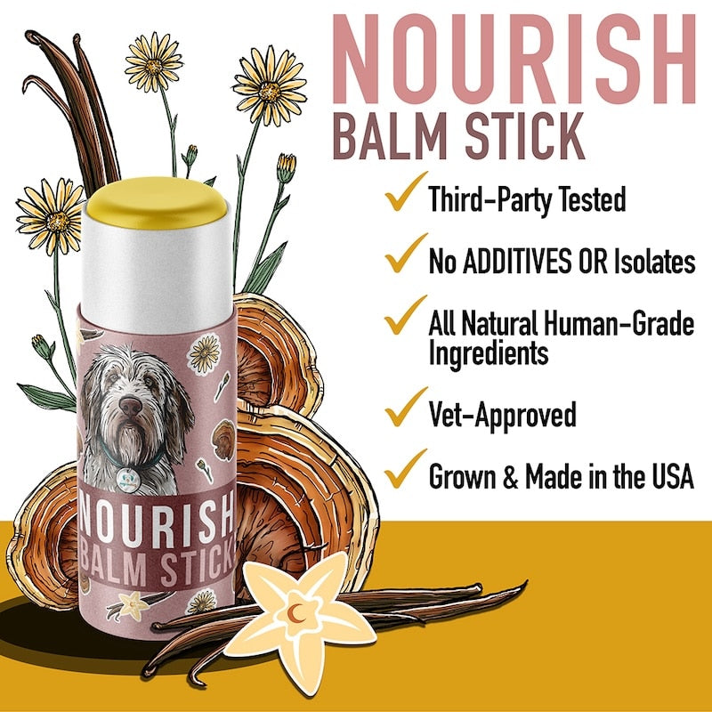 Nourish Balm Stick by MycoDog – Reishi & Botanical Skin + Paw Care for Dogs