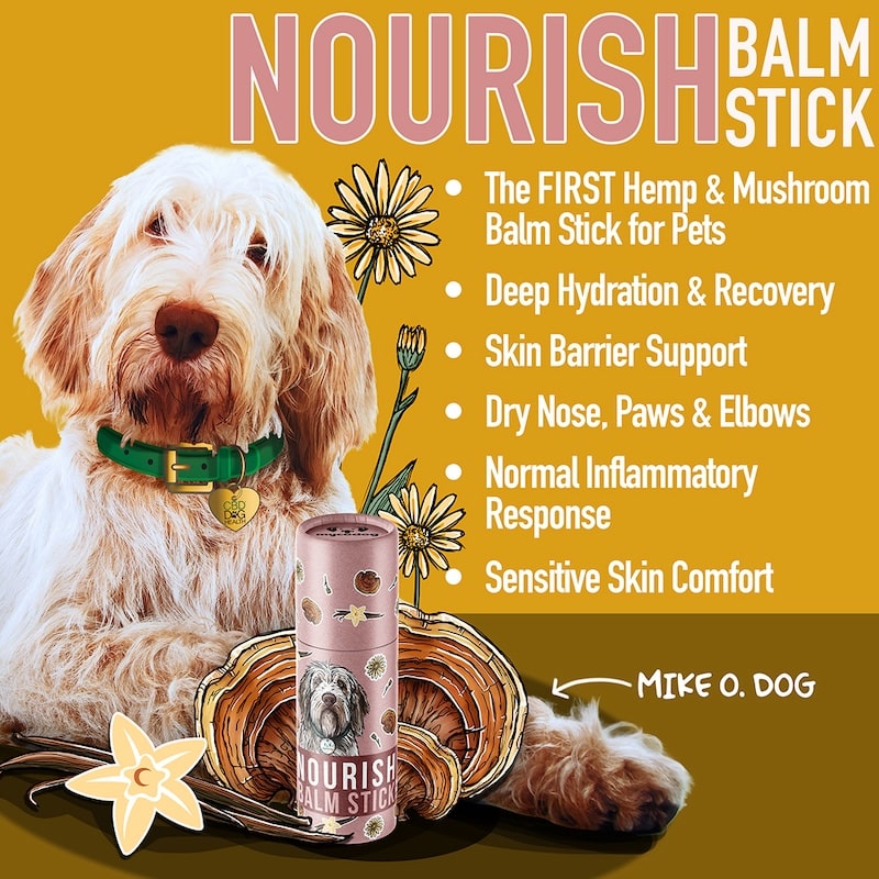 Nourish Balm Stick by MycoDog – Reishi & Botanical Skin + Paw Care for Dogs