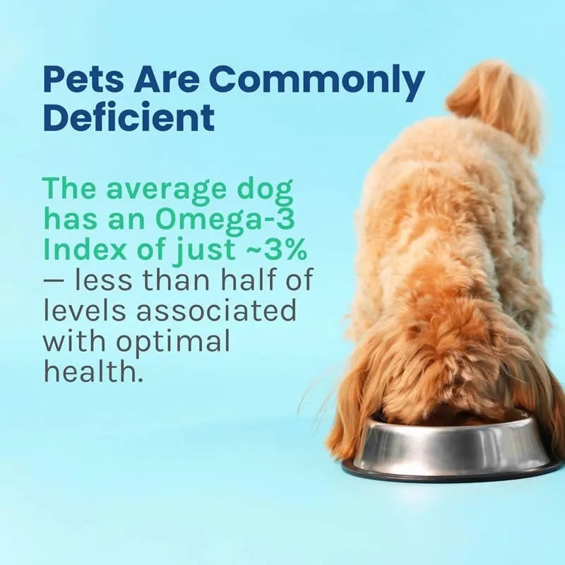 OmegaQuant Omega‑3 Index Test for Pets – At‑Home Nutritional Status Kit