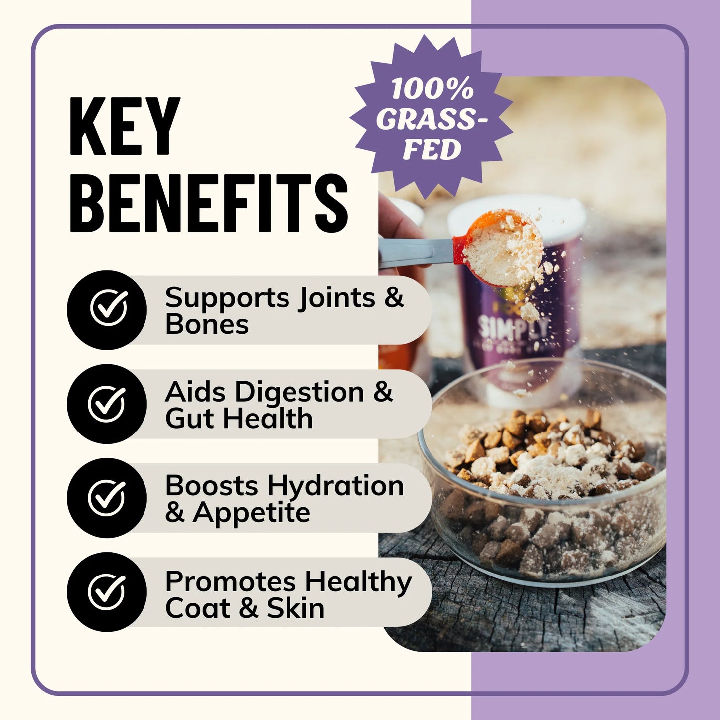 Fido’s Dehydrated Bone Broth for Dogs — Functional Wellness Blends